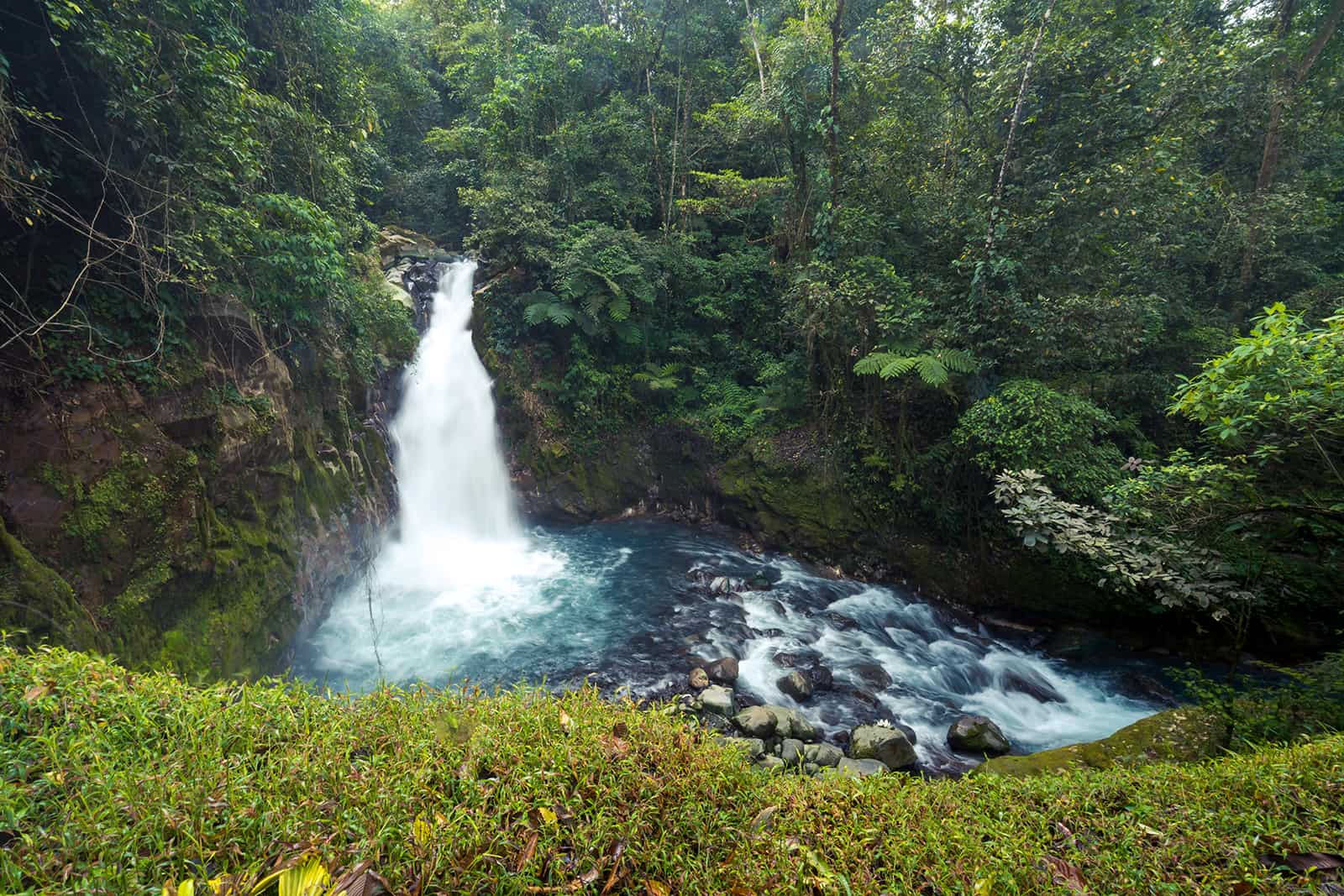 Kiwanda Maji: Rainforest, Waterfalls and authentic local ...