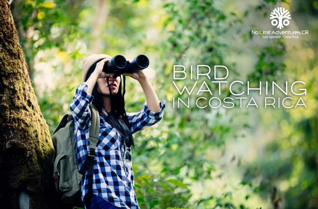 Bird Watching in Costa Rica