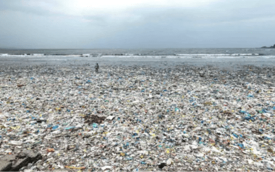 Costa Rica’s single-use plastic ban