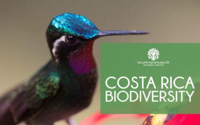 Costa Rica Biodiversity