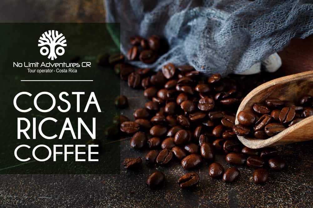 COSTA RICAN COFFEE