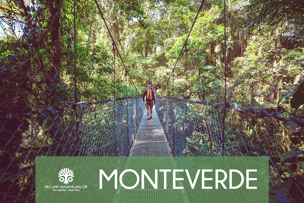 monteverde costa rica