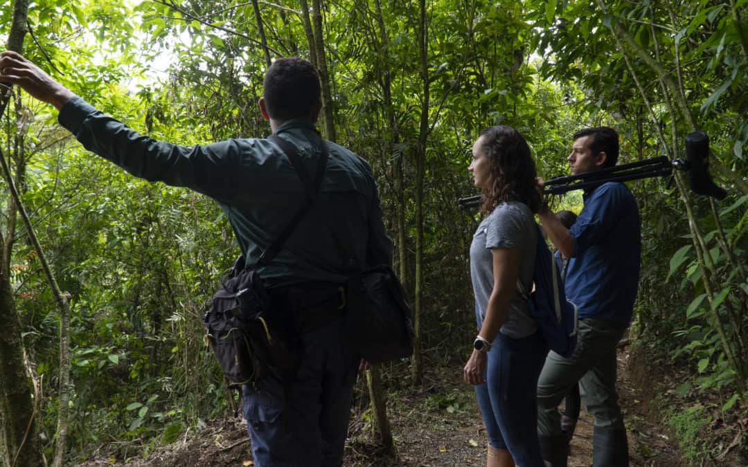 NLA Announcement: Proud to Have Achieved CST Accreditation