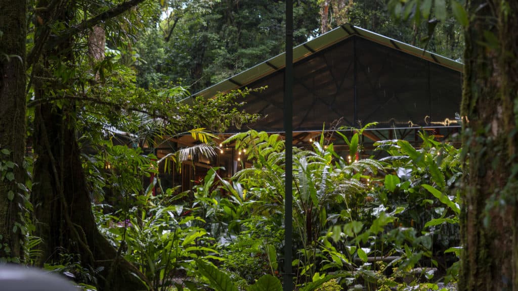 tapir valley adventures costa rica