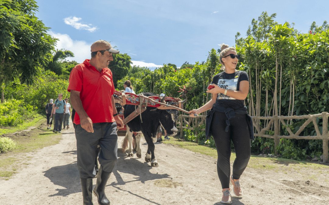 Best Costa Rica Trips for Small Groups or Families