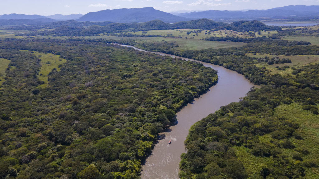 palo verde costa rica north pacific tour