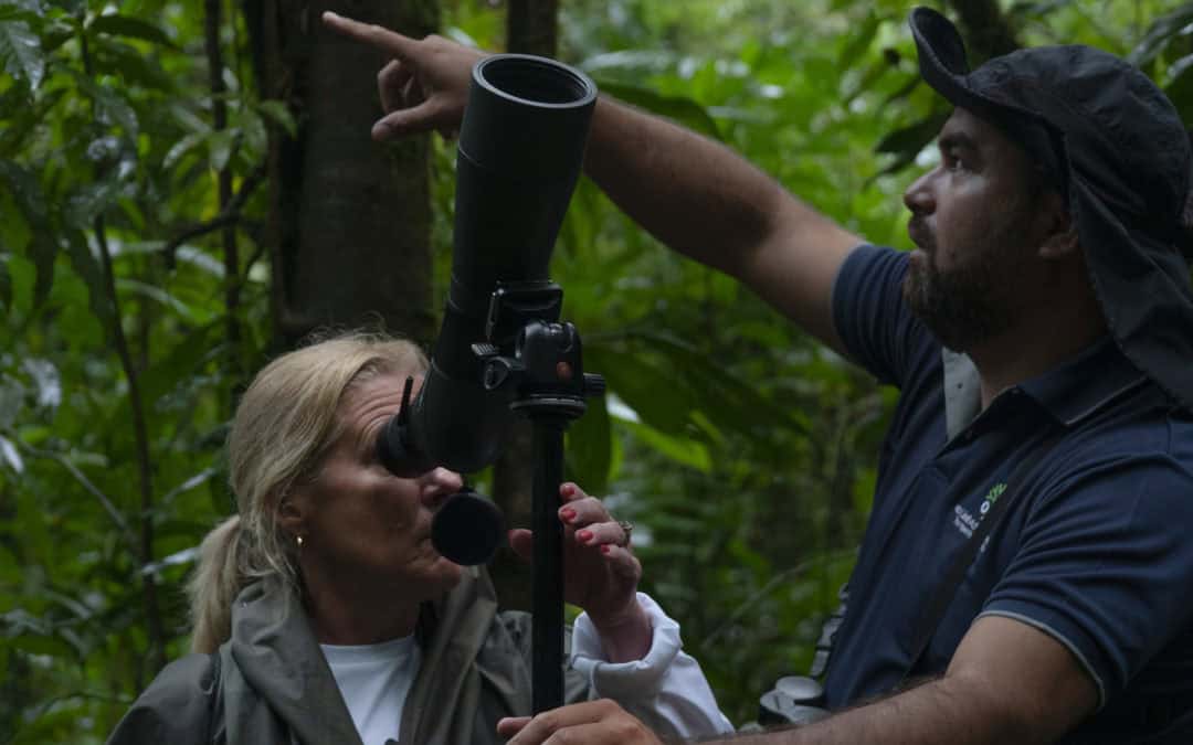 Everything You Need to Know About Birdwatching in Costa Rica