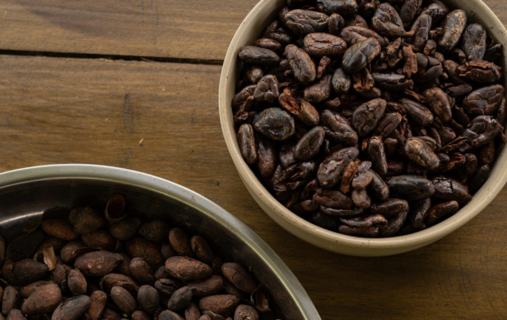 chocolate adventure tour costa rica