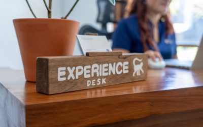 Exciting News: No Limit Adventures Now Has a New Desk at Las Catalinas!