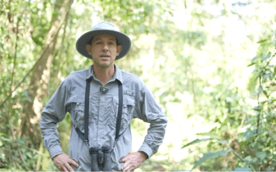 Armonía: A Journey Towards Balance with Nature