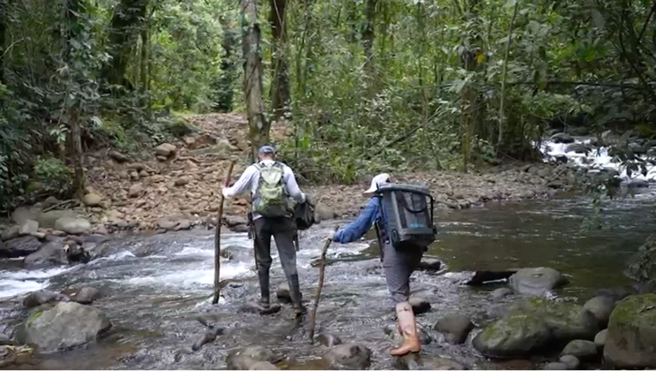 armonia experience costa rica