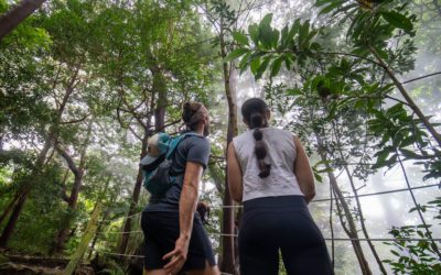 Tips for Exploring a National Park Mindfully