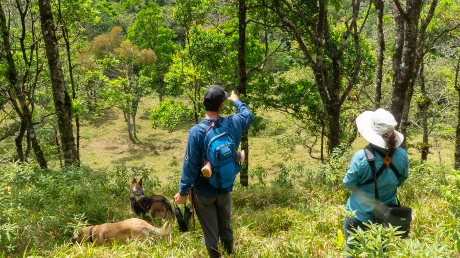 Armonía. Experience in Guanacaste 2