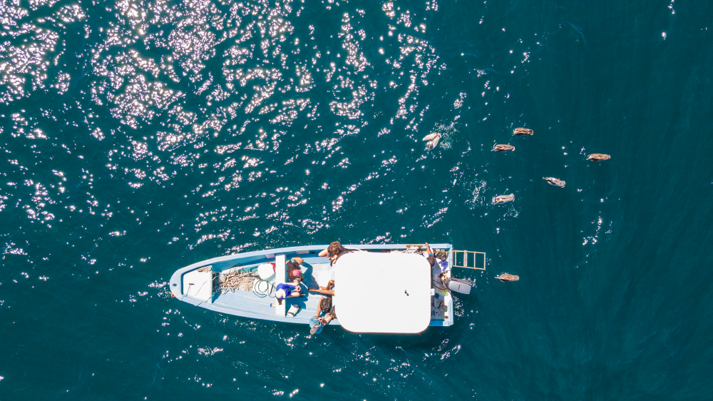 retreats in costa rica