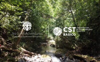 Sustainable Achievements 2025: Our Commitment Towards Sustainable Tourism Stays Strong