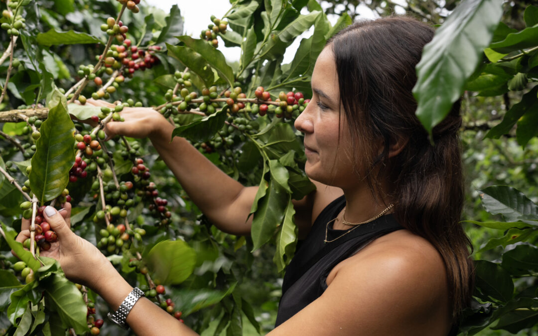 Our Newest Signature Coffee Experience: From Bean to Cup