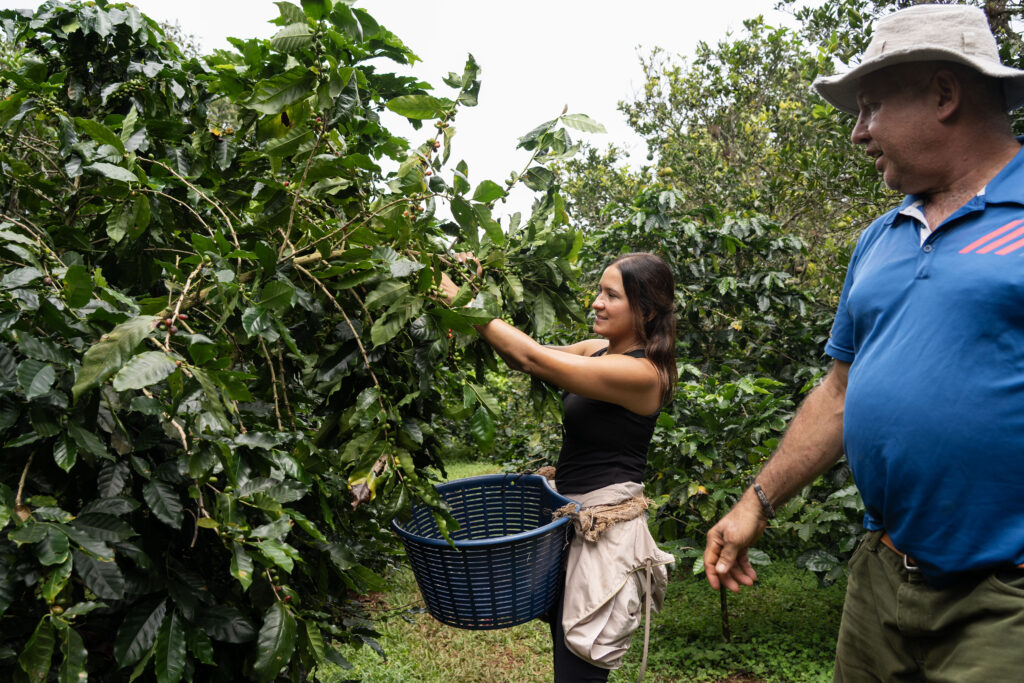 private coffe tour costa rica