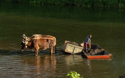 Costa Rica’s independence: a journey that continues